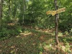 Enjoy the Buck Run Nature Trail at the comfort of the property